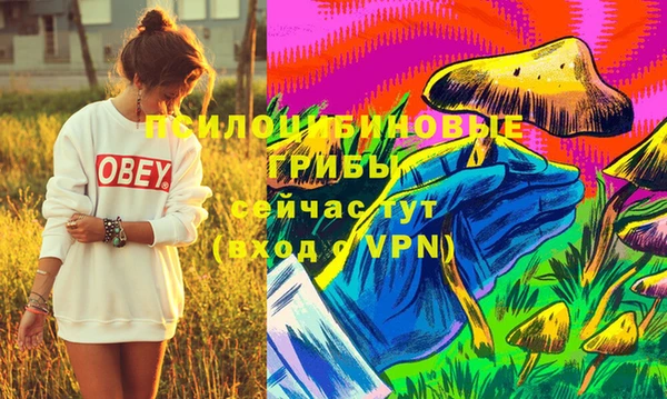 прущие крисы Алексеевка