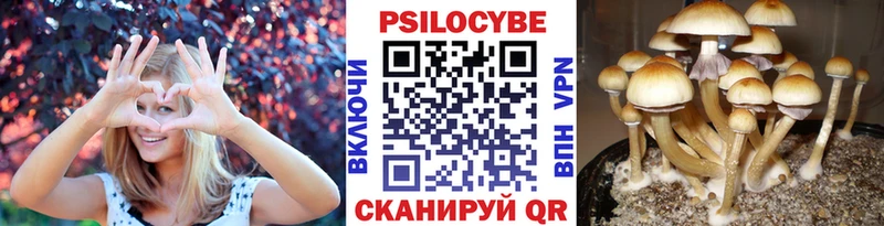 Псилоцибиновые грибы MAGIC MUSHROOMS  дарнет шоп  Анапа 